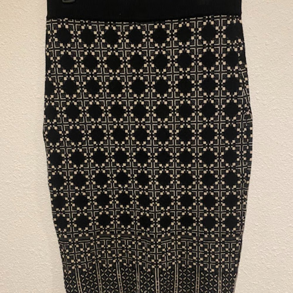 Max Studio Skirt